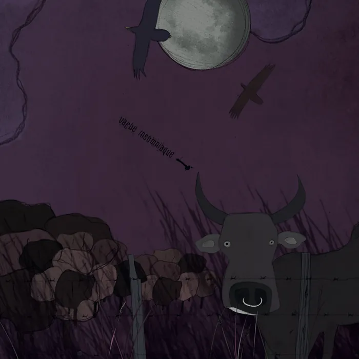 Page 19 — Illustration : sous la pleine lune et des oiseaux de nuit, la vache insomniaque regarde par-dessus la clôture.
