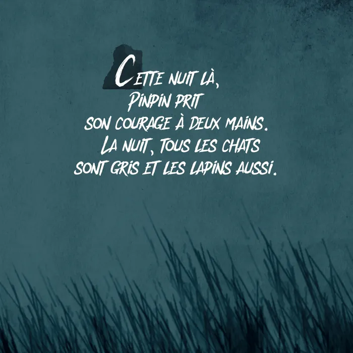 Page 21 — « Cette nuit là, Pinpin prit son courage à deux mains. La nuit, tous les chats sont gris et les lapins aussi. »